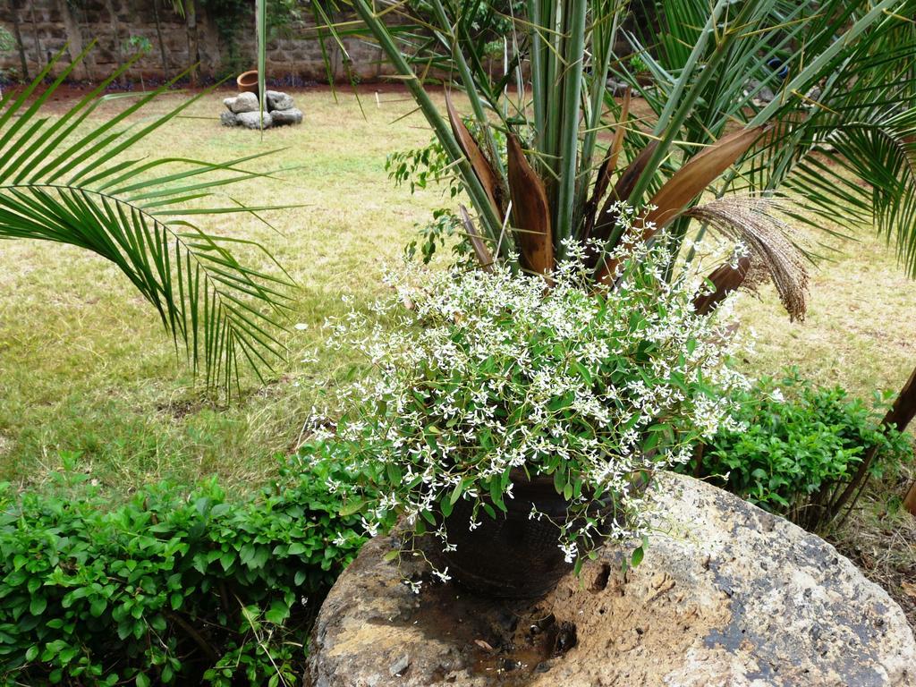 Maison Mitwaba Nairobi Bagian luar foto