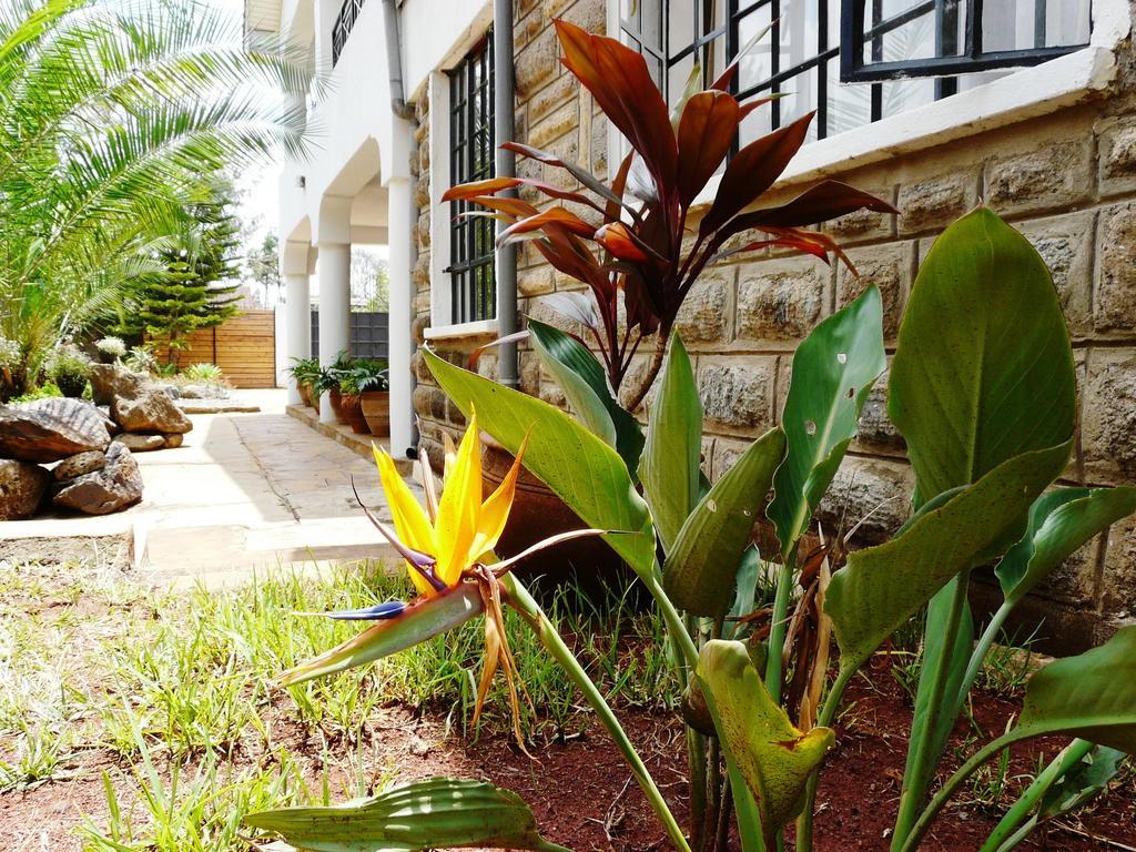 Maison Mitwaba Nairobi Bagian luar foto